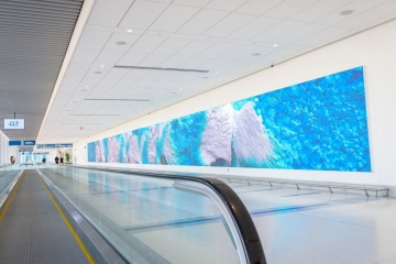 Free Webinar Jan 16 Hosted by NanoLumens, Cenero and Charlotte Douglas International Airport Free Webinar Jan 16 Hosted by NanoLumens, Cenero and Charlotte Douglas International Airport